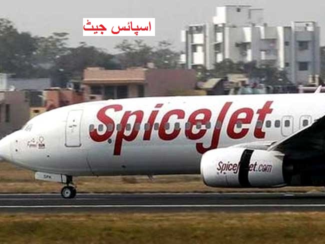 اسپائس جیٹ نے بنگلور - دبئی پرواز شروع کی؛ 6013 روپے رکھا ہے کرایہ پر لینا